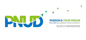 PNUD로고